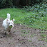 Met de bal spelen!