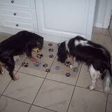 Samen eten.