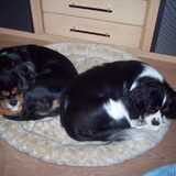 Samen rusten.