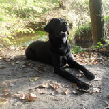 Foto van Sam_xX