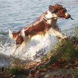 Actie foto Rosie