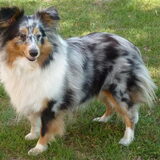 Foto van Lizzie en Sterre