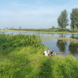Foto van Lizzie en Sterre