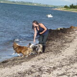In Denemarken