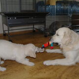 femke vs Mandy
