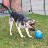 Foto van Valerie &. Arco