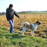 Foto van Frank