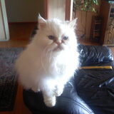 Foto van Claudia & Tank