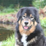 Foto van http://www.do-khyi-jinadhara.be