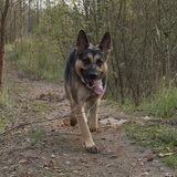 Foto van Valerie &. Arco