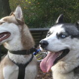 Foto van Shamilla & Zena