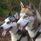 Foto van Shamilla & Zena