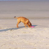 Middagje strand.