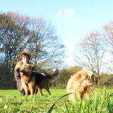 Foto van liesbeth,Turbo,Luna, Levi en Faith