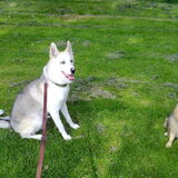 Sunny & Gaya