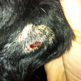 De vermeende hotspot van Floris. Hopelijk gaat dit heel snel over.