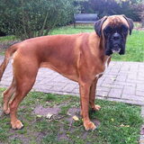 9 maanden en 31 kg :-)