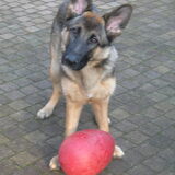 Hertha is gek op haar Jolly egg.