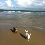 Yippie..... de zee!