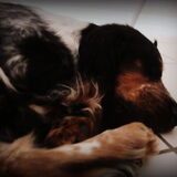Foto van Sharon & Harley