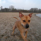 heel blij op t tsrand