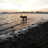 Foto van Vivianne & Thijssie