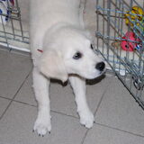 aaaaaaaaaaaaaaaaaaahhhh!!!!!ochtent stretjing :)
