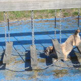 Jessy 'doet' de brug