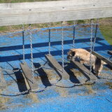 Jessy 'doet' de brug
