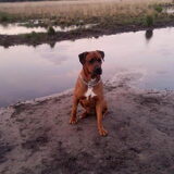 Foto van ami