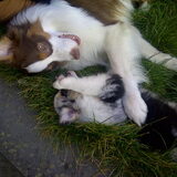 Finn & Marley stoeien