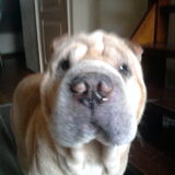 Rambo, Rust zacht lieverd.