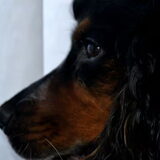 Foto van Sharon & Harley