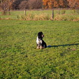 Foto van Sharon & Harley