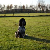 Foto van Sharon & Harley