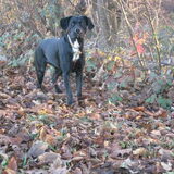 My Sweet & Lovely Miss Perfect :o)