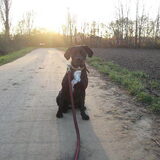 28 november - ondergaande zon