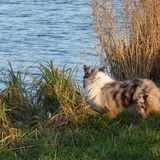 Foto van Lizzie en Sterre