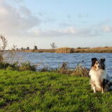 Foto van Lizzie en Sterre