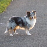Foto van Lizzie en Sterre