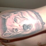 dit is me tatto van me oude husky
