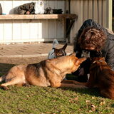 Foto van Hetty & Skipper