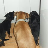 DINNER TIME !!! (Op visite bij Mama& Broertje& Zusjes )
