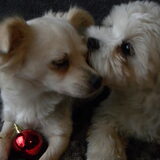 Foto van Jana & Romi