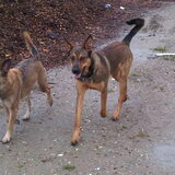 kyra en deejay