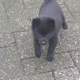 Foto van ruben