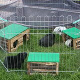 Met mooi weer lekker alle opvangers naar buiten http://csniewie.webs.com