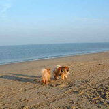 Spelen in het zand op het strand van Zandvoort