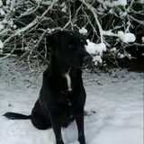 Let it snow, let it snow, let it snow..