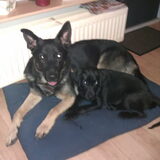 Met z'n grote vriend Wolf..